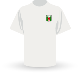 Gostujući dres