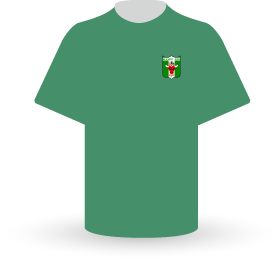 Domaći dres